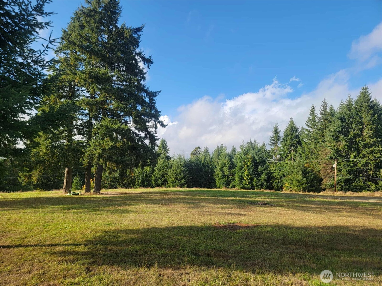 0 Northeast 1st Street Winlock, WA 98596 - Photo 4 of 4