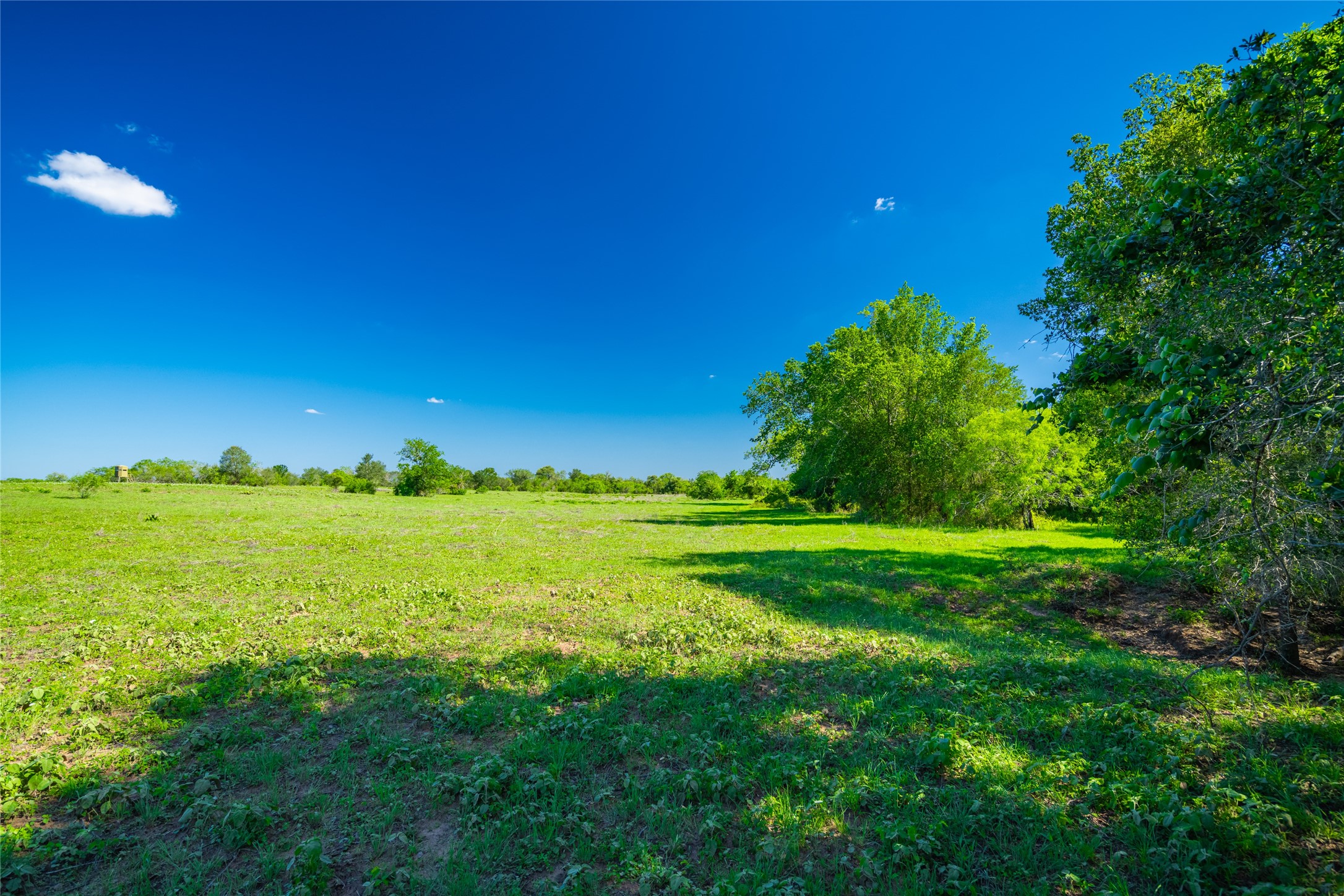 0 Sparta Field Road Waelder, TX 78959 - Photo 29 of 29 Gallery Image 29