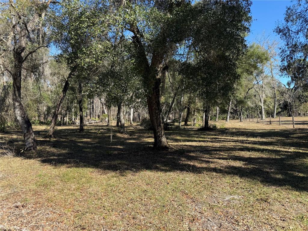18630 Bradshaw Road Dade City, FL 33523 - Photo 35 of 43 a view of backyard with green space