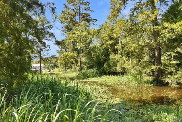 $175,000 | 13167 Petite Drive, Maurepas, LA 70449