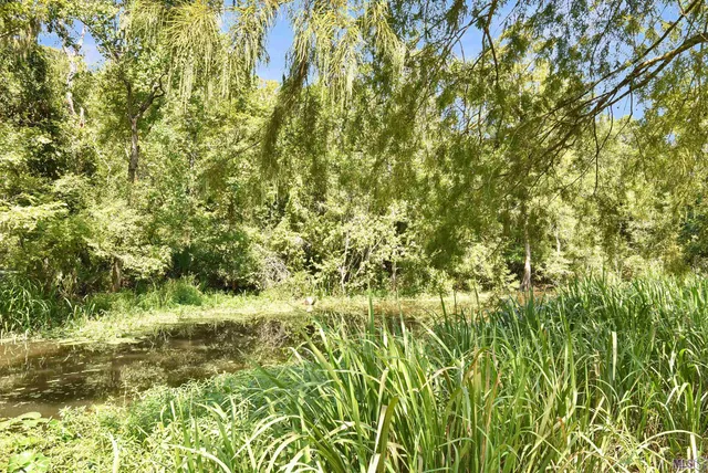 $175,000 | 13167 Petite Drive, Maurepas, LA 70449