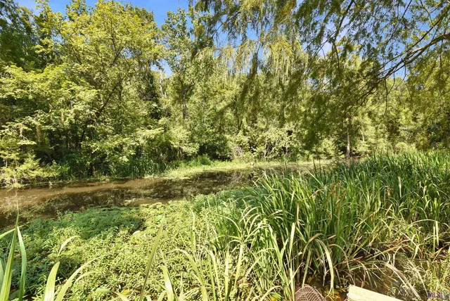 $175,000 | 13167 Petite Drive, Maurepas, LA 70449