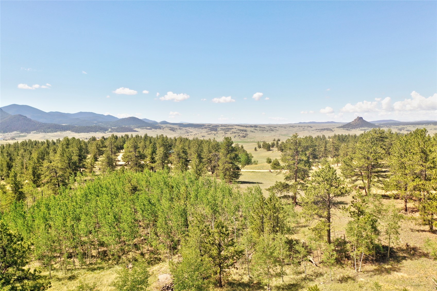 1595 Al Gulch Road Jefferson, CO 80456 - Photo 20 of 40 Gallery Image 20