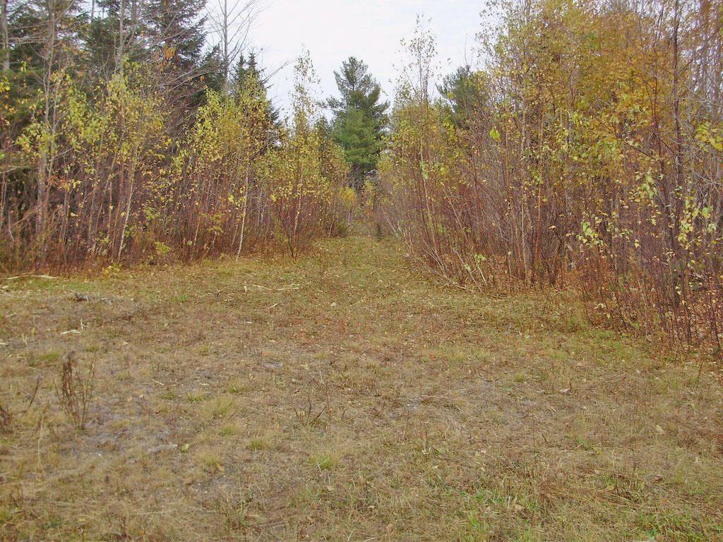 Lot 3-17 Tar Ridge Road Springfield, ME 04487 - Photo 3 of 6 Photo