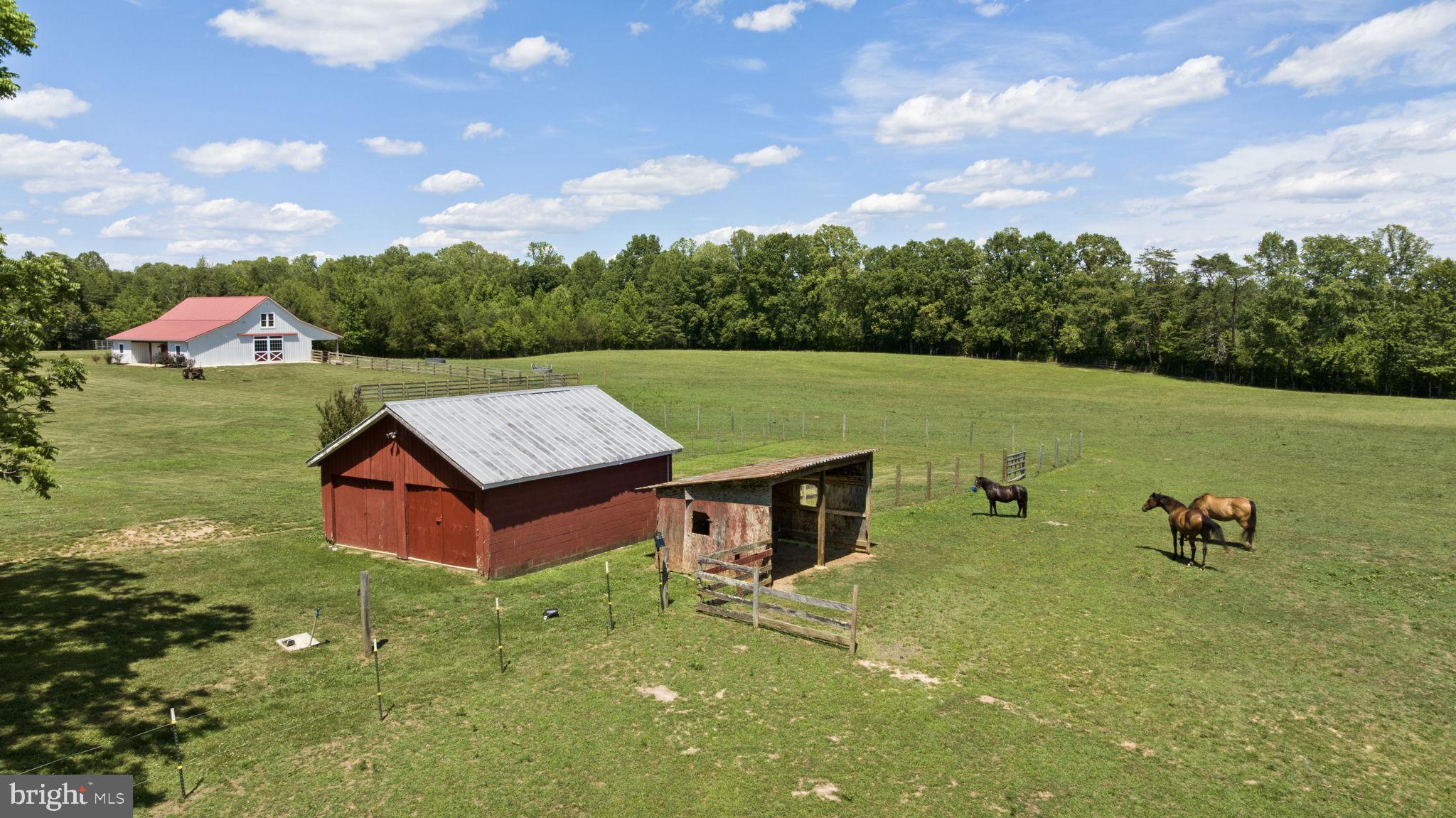 1815 Country Road Beaverdam, VA 23015 - Photo 12 of 104 Pasture view