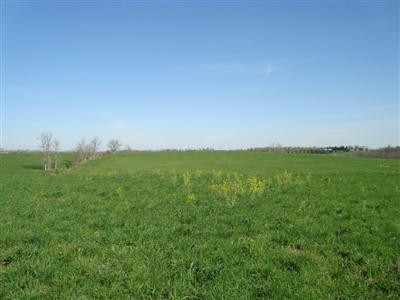 375 Stoney Point Road Paris, KY 40361 - Photo 24 of 25 Photo 24
