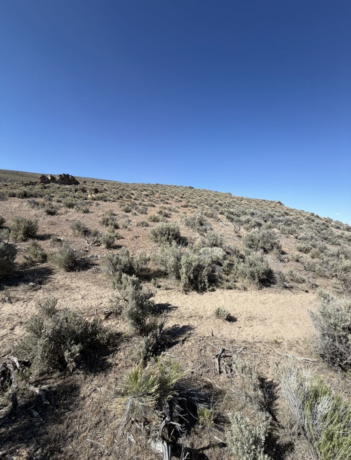 29 Twp 37n Rge 58e Mdb&m Deeth, NV 89823 - Photo 3 of 9