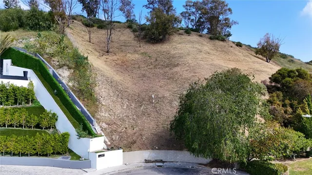 a view of a yard with plants and a trees