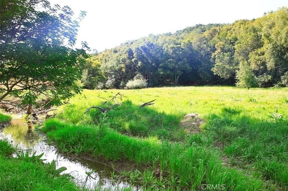 0 Old Creek Road Cayucos, CA 93430 - Photo 13 of 19 Headwaters of Santa Rita Creek