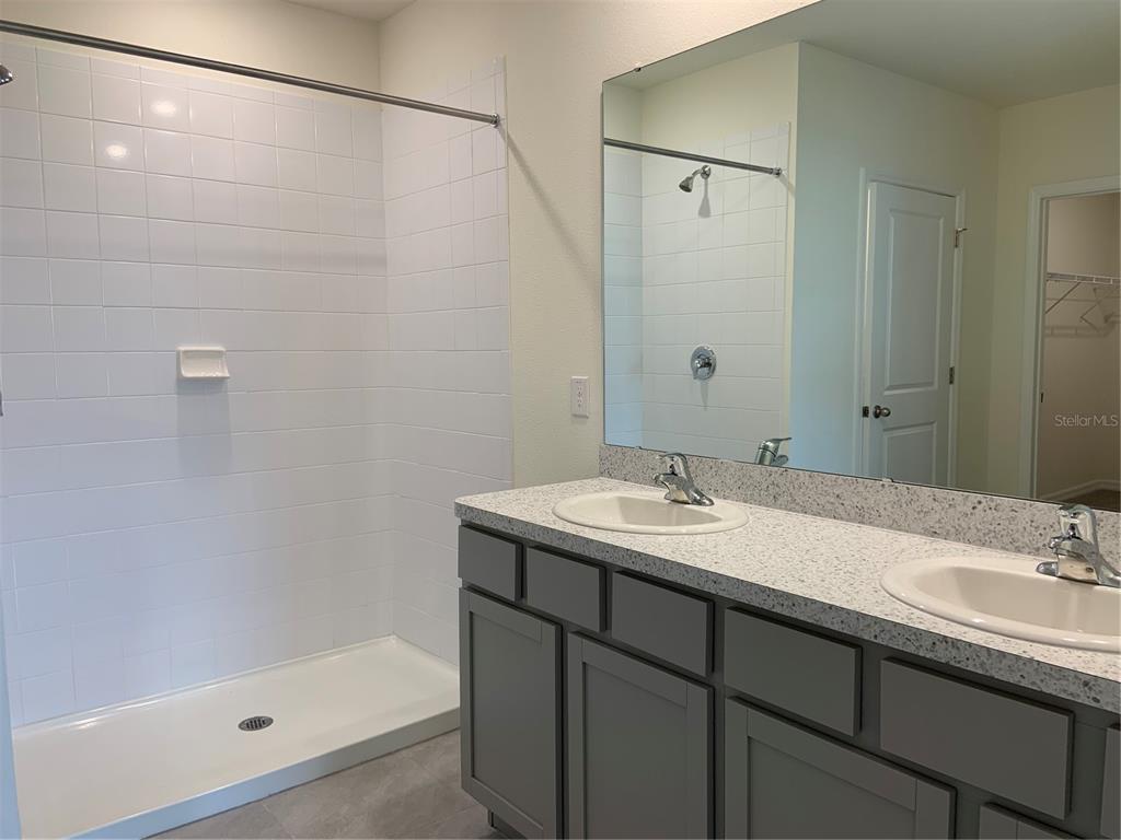 33327 Hamilton Hl Lane Wesley Chapel, FL 33545 - Photo 6 of 11 a bathroom with a sink and a mirror