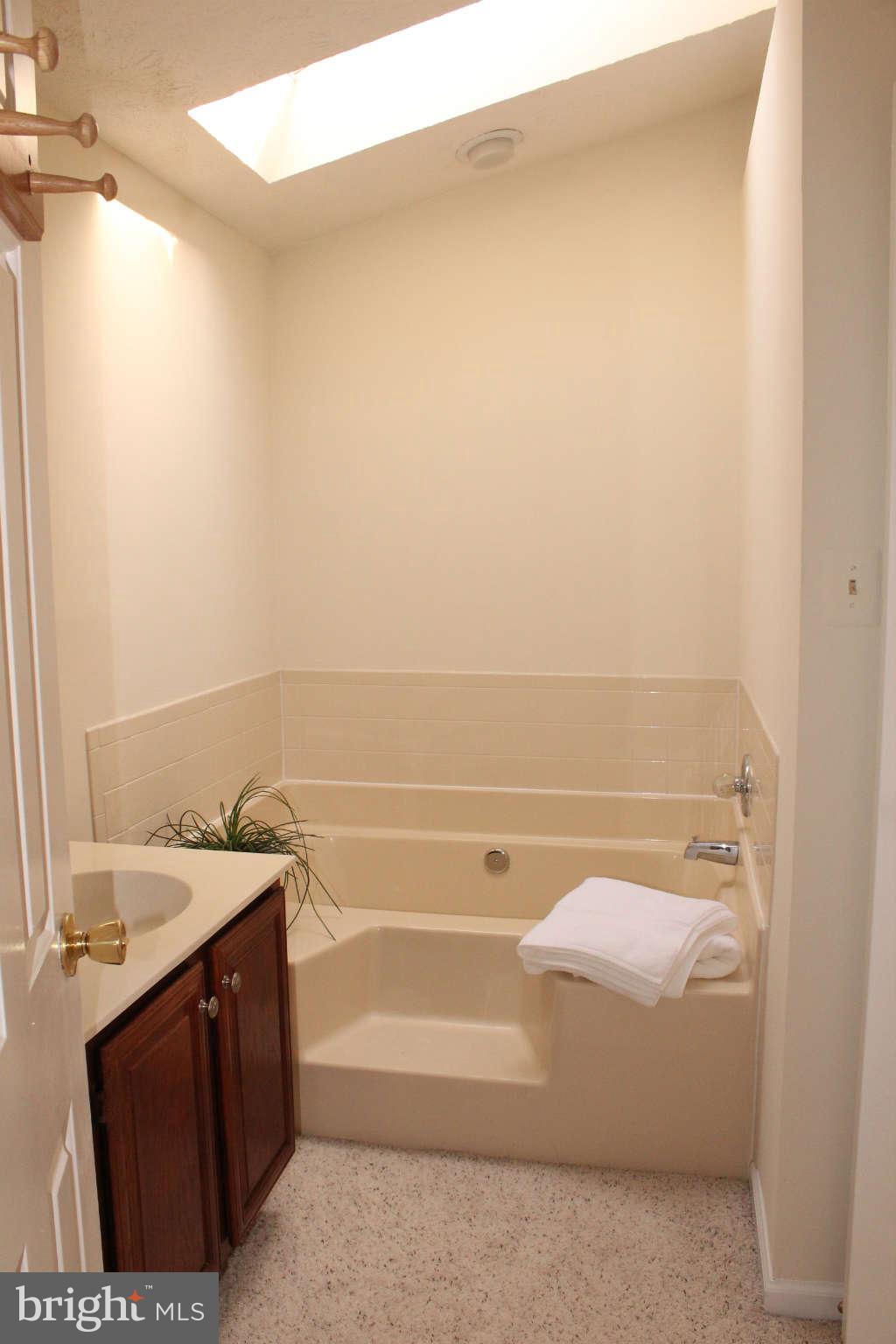 3065 Memory Lane Silver Spring, MD 20904 - Photo 15 of 29 a bathroom with a bathtub and a sink