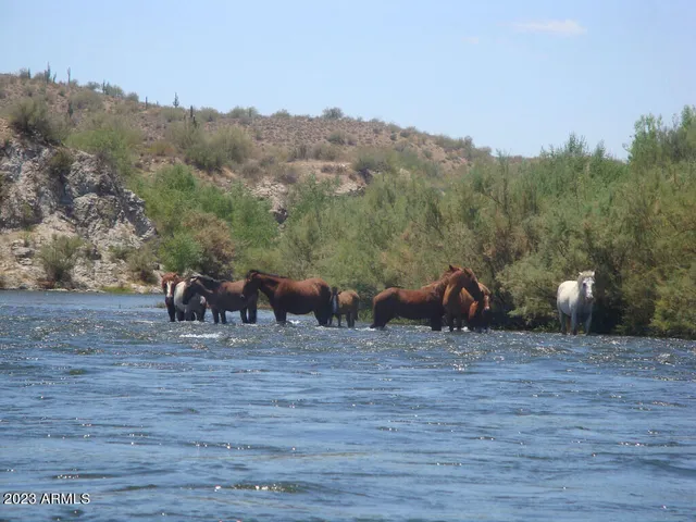 $10,000 | 5415 East McKellips Road, Unit 84, Mesa, AZ 85215