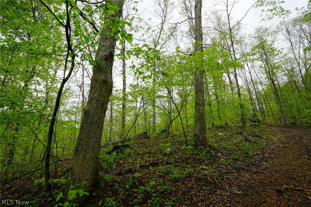 Hill Road Stockport, OH 43787 - Photo 23 of 40
