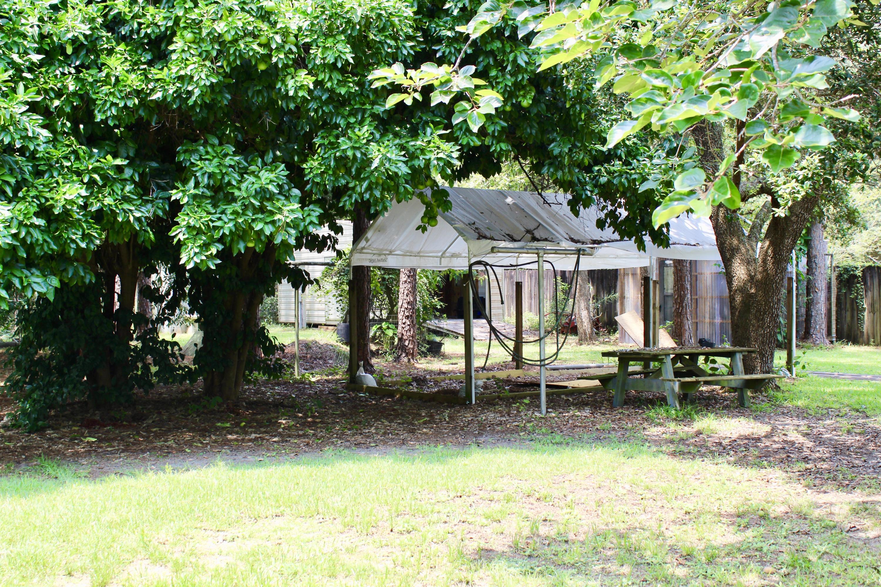 5446 Monterrey Road Crestview, FL 32539 - Photo 19 of 26 CV Back