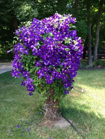 $395,000 | 1935 Deerfield Road, Princeton, IL 61356