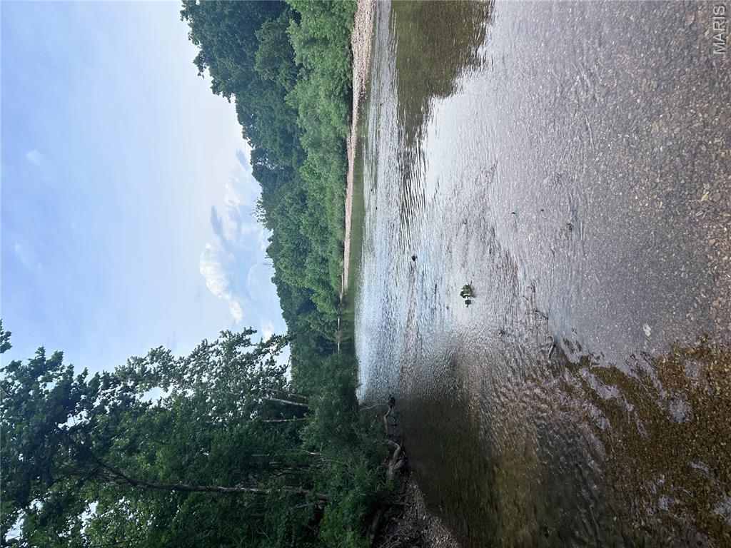 68 Dillard Mill Road Davisville, MO 65456 - Photo 8 of 64