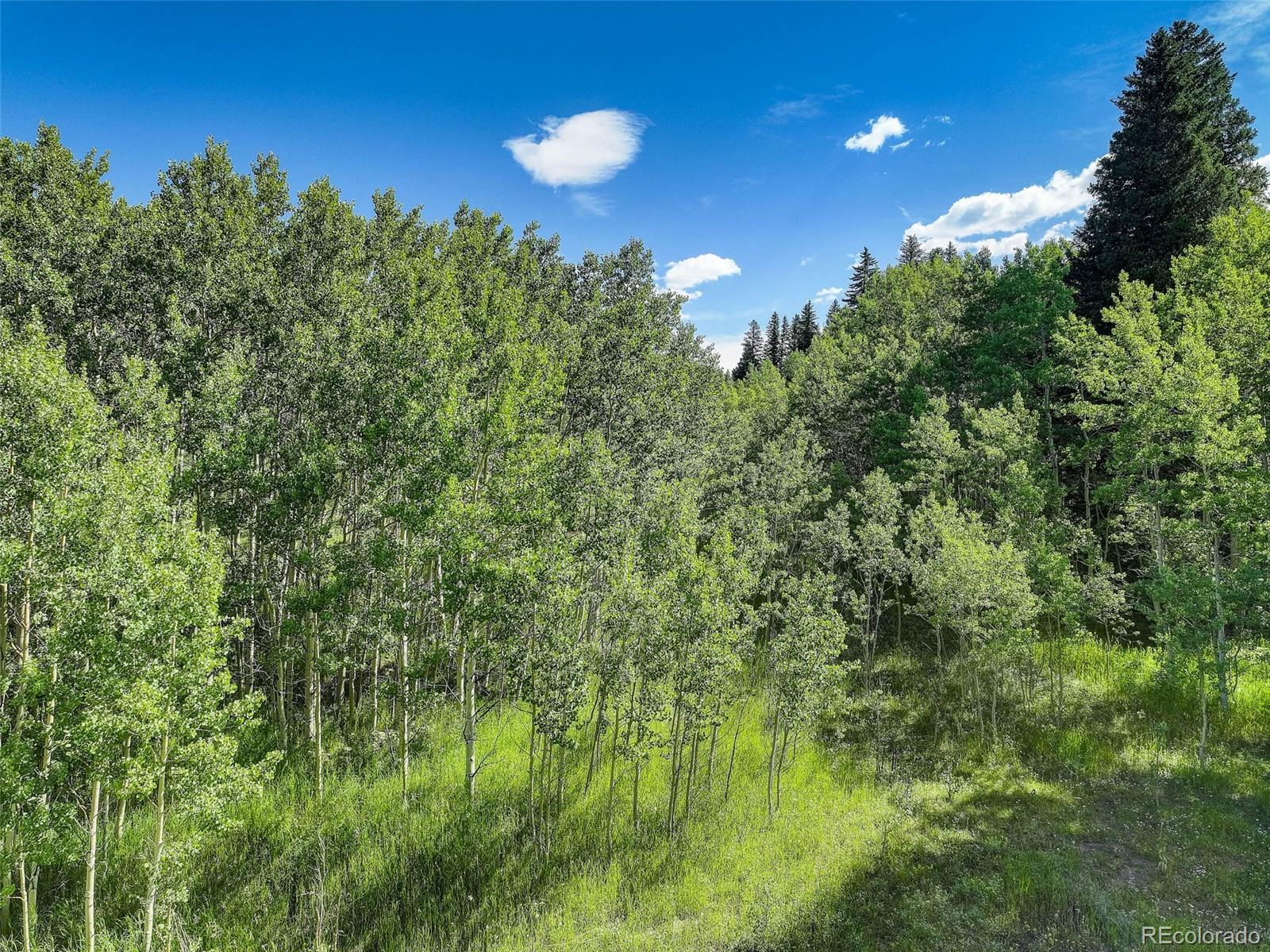 1 Hughesville Road Black Hawk, CO 80422 - Photo 13 of 34