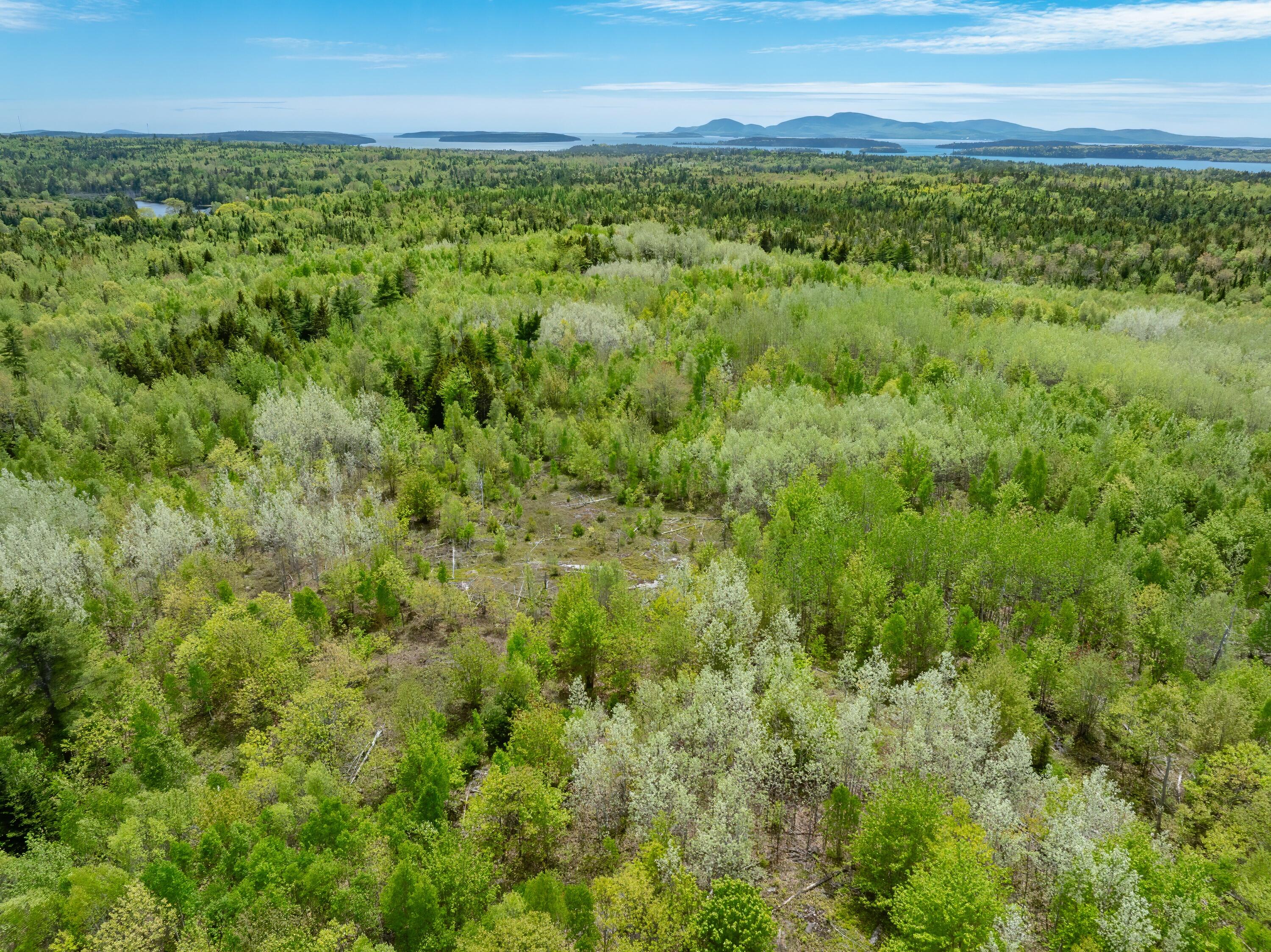 54 Emerson Preble Road Sullivan, ME 04664 - Photo 11 of 17 34-54 Emerson Prebble Land-DTP