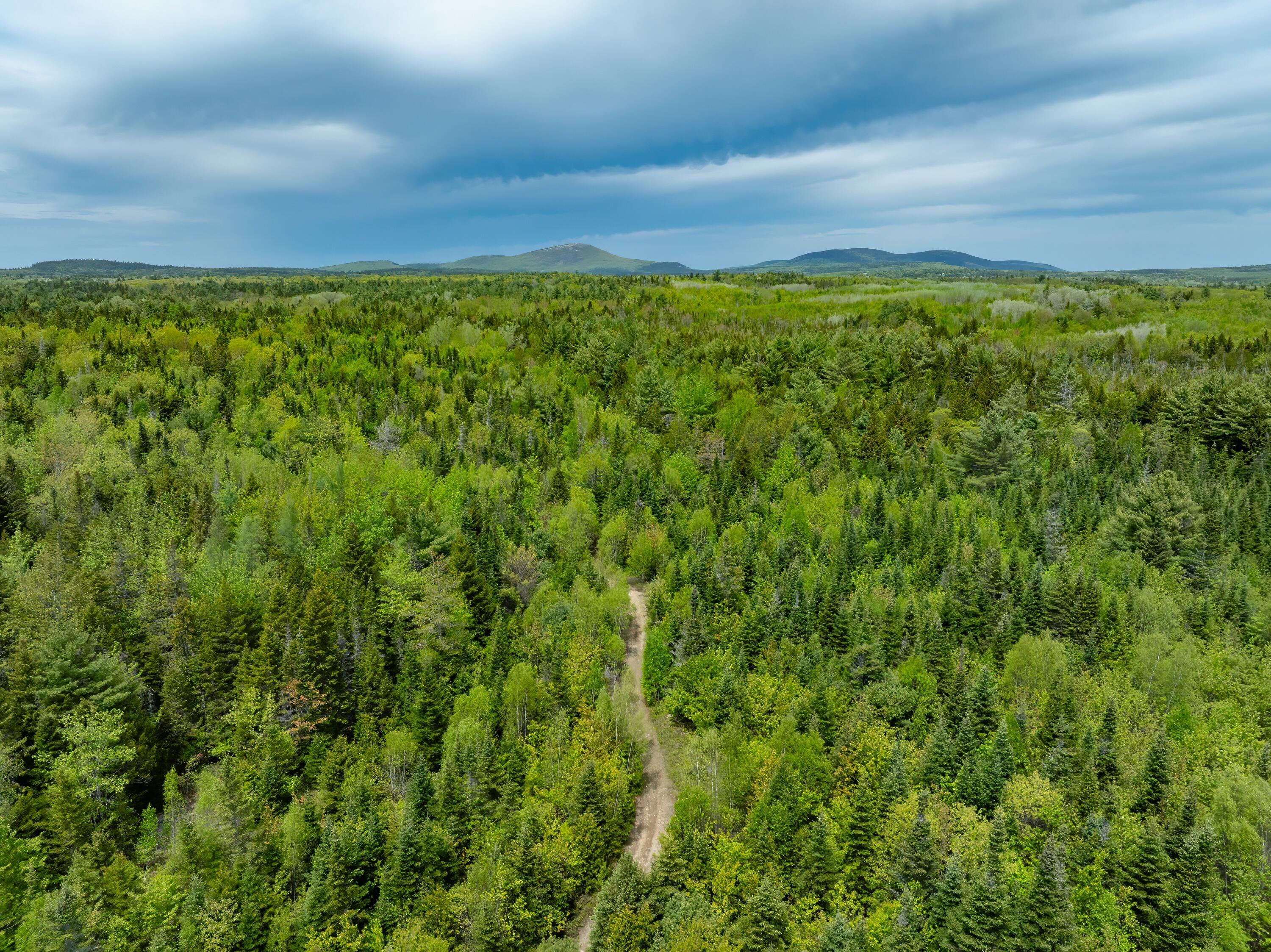 54 Emerson Preble Road Sullivan, ME 04664 - Photo 12 of 17 25-54 Emerson Prebble Land-DTP