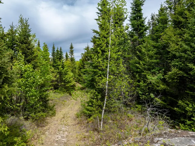 $204,900 | 54 Emerson Preble Road, Sullivan, ME 04664