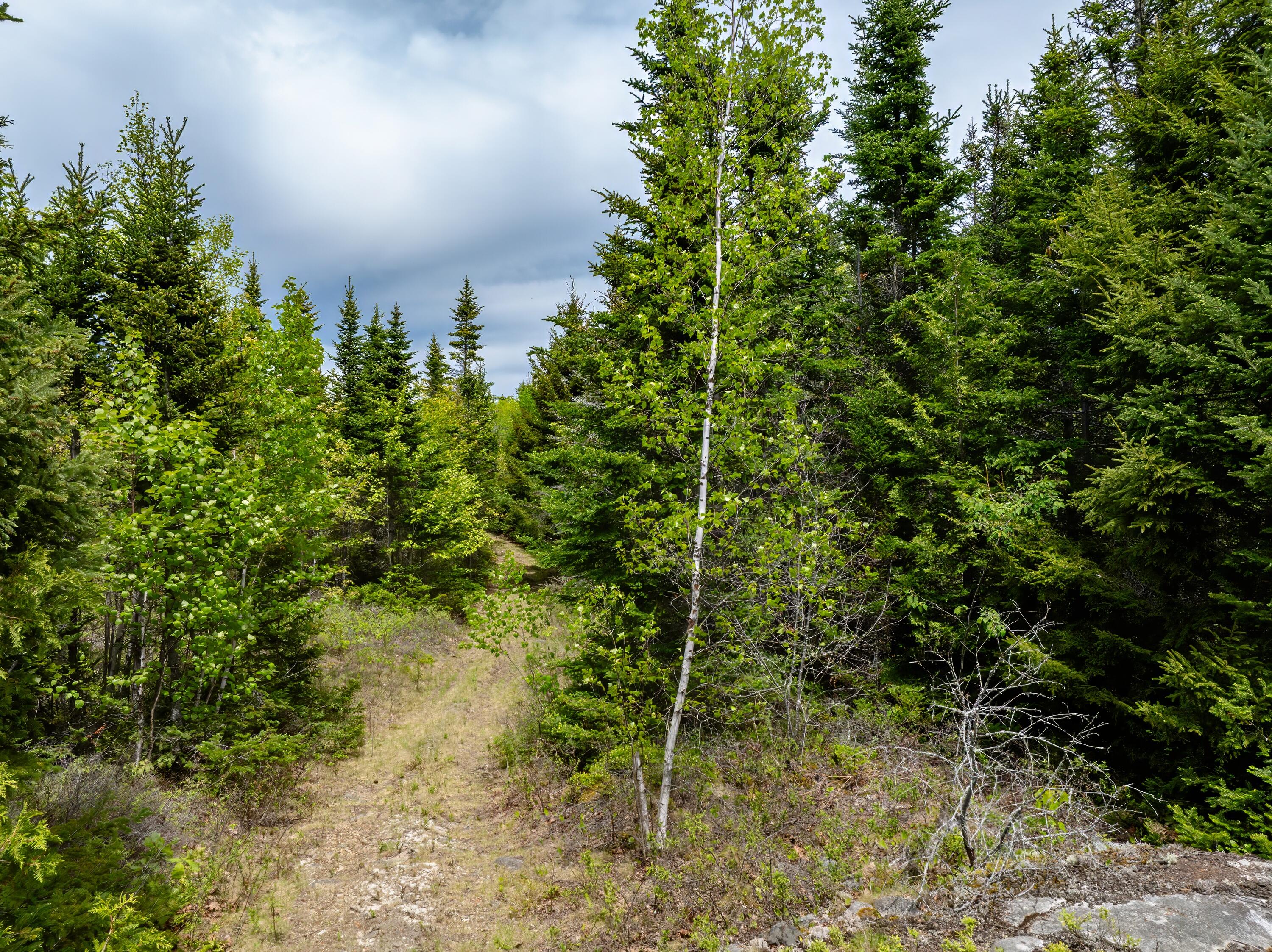 54 Emerson Preble Road Sullivan, ME 04664 - Photo 16 of 17 29-54 Emerson Prebble Land-DTP
