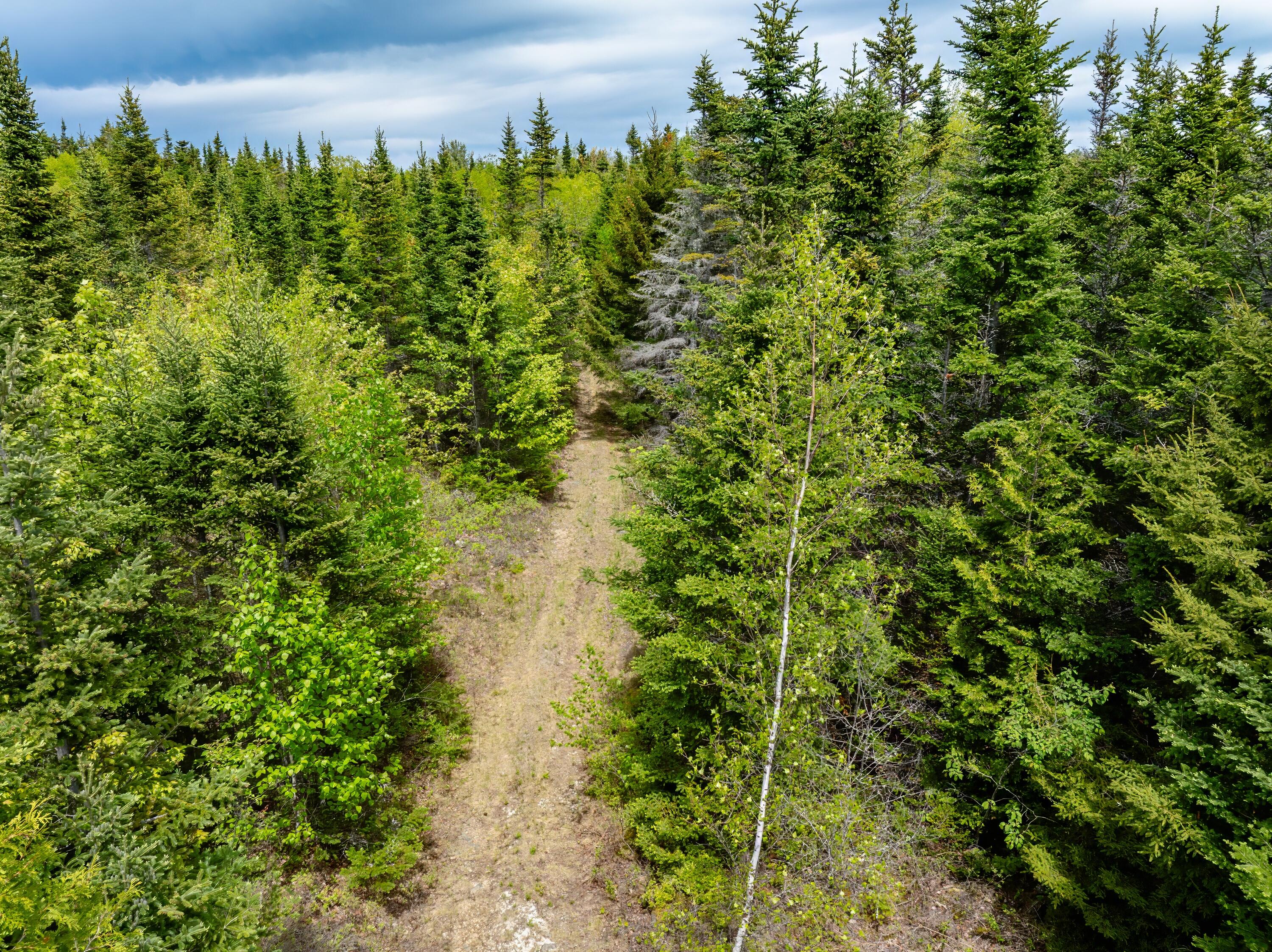 54 Emerson Preble Road Sullivan, ME 04664 - Photo 2 of 17 30-54 Emerson Prebble Land-DTP