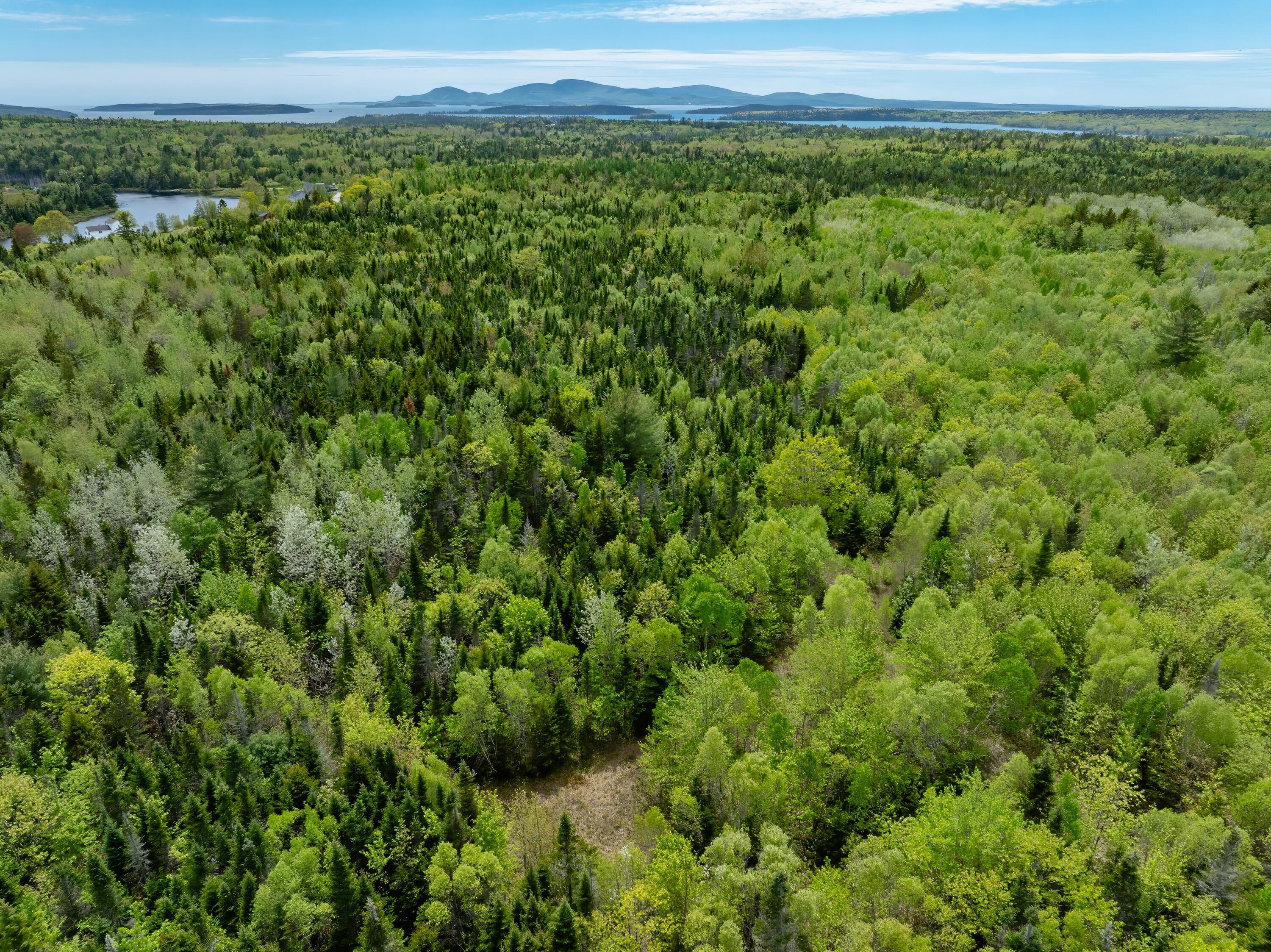 54 Emerson Preble Road Sullivan, ME 04664 - Photo 4 of 17 32-54 Emerson Prebble Land-DTP