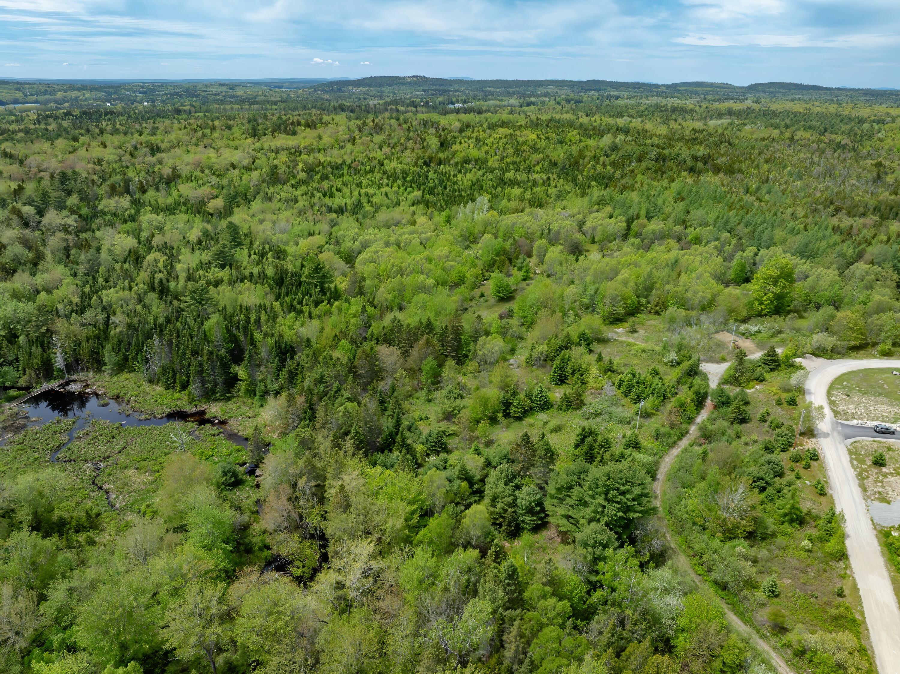 54 Emerson Preble Road Sullivan, ME 04664 - Photo 6 of 17 22-54 Emerson Prebble Land-DTP