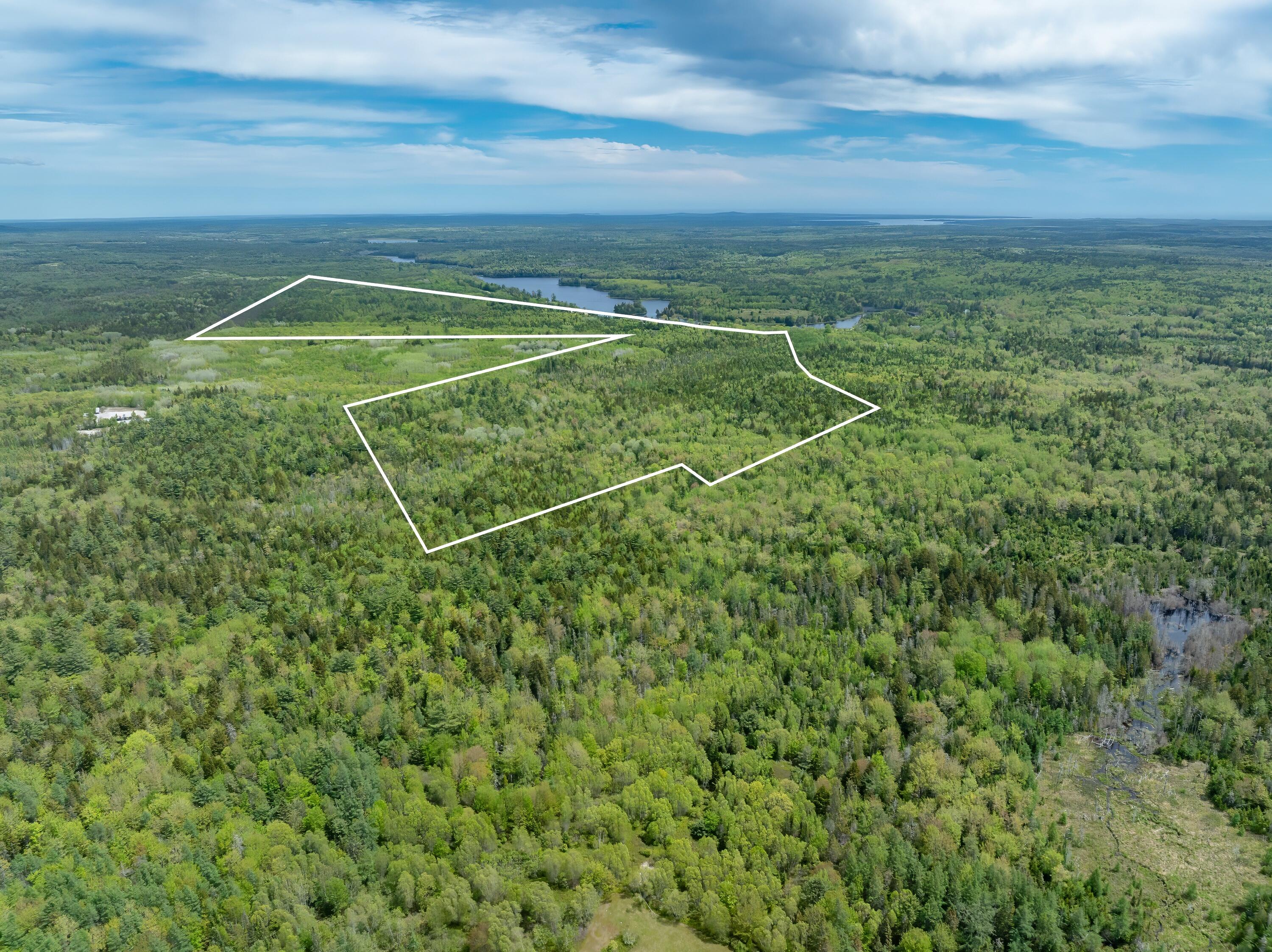 54 Emerson Preble Road Sullivan, ME 04664 - Photo 9 of 17 13-54 Emerson Prebble Land-DTP