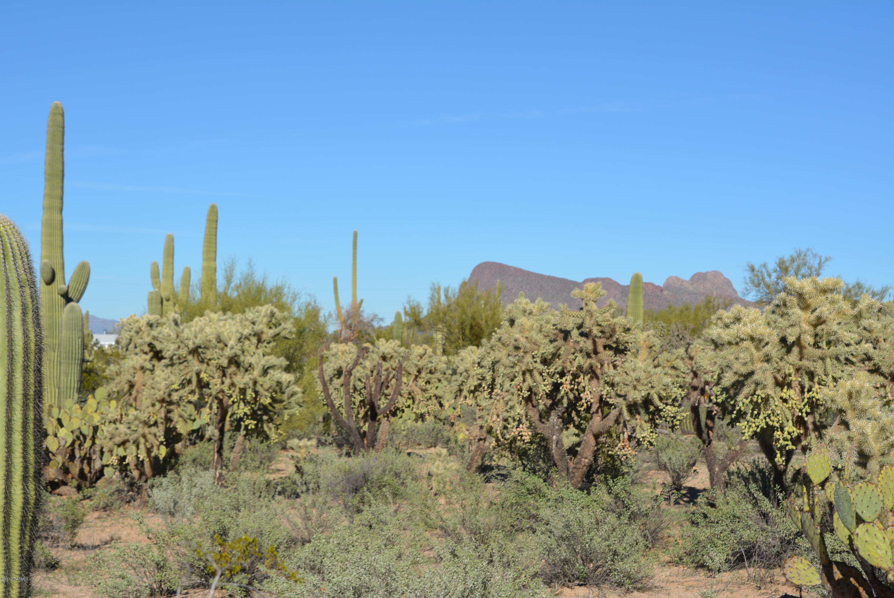 11700 West Rudasill Road, Unit LOT 4 Tucson, AZ 85743 - Photo 28 of 33