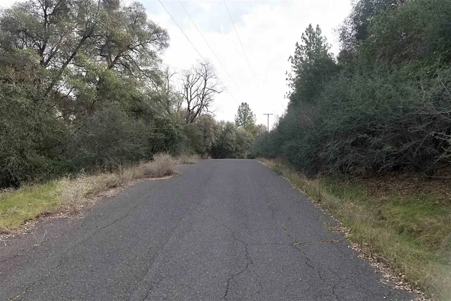 a view of a field with trees in background