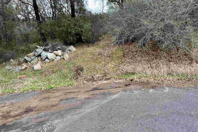 a view of a dry yard