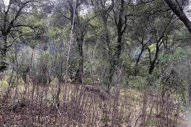 a view of a yard covered with snow