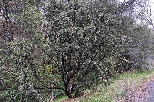 $125,000 | B2 North Airport, Columbia, CA 95310