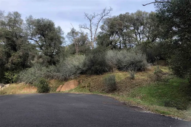 a big yard with lots of bushes