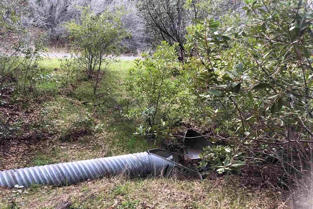 a view of a yard with a tree