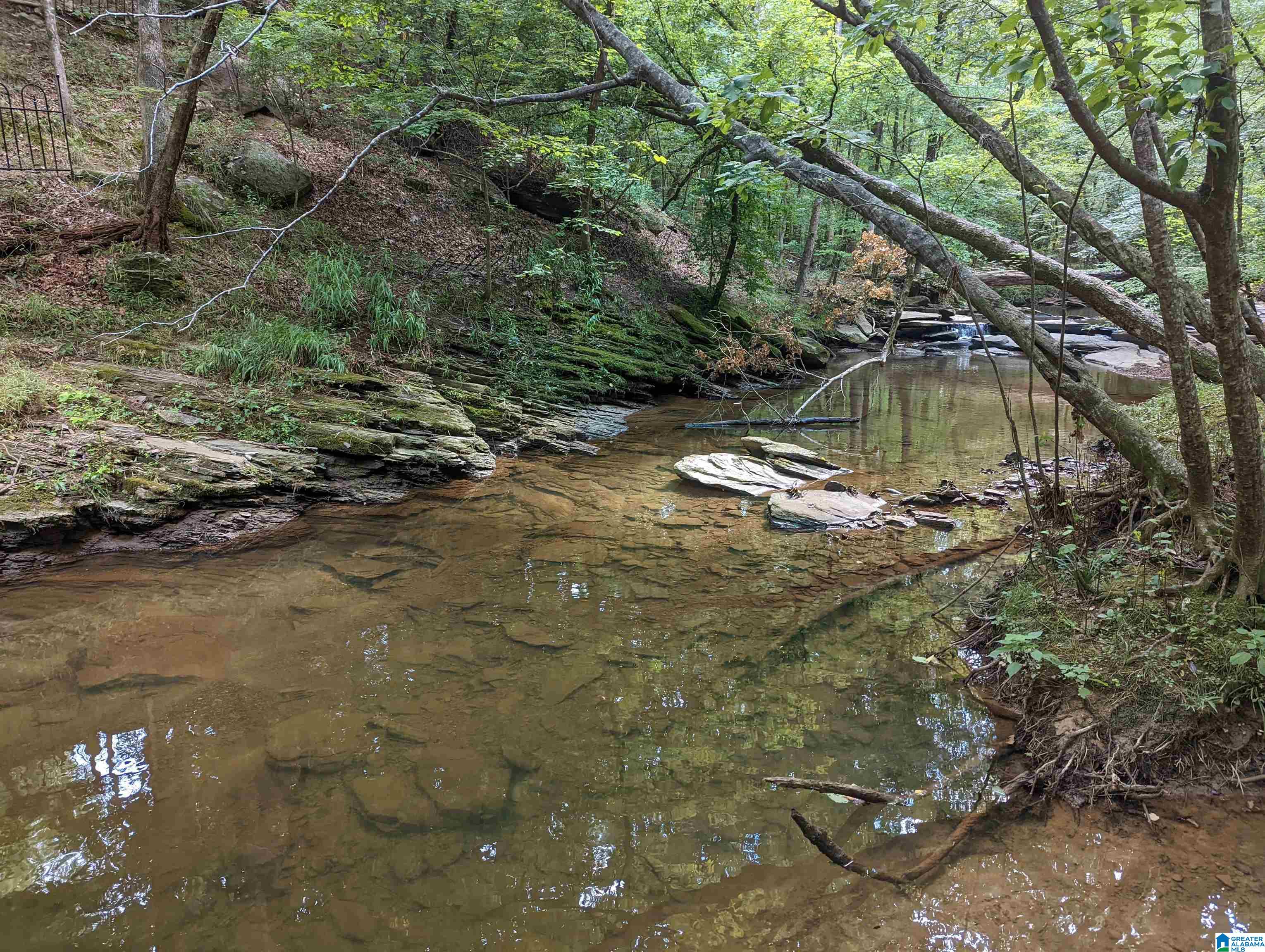 0 Stevens Creek Road Birmingham, AL 35244 - Photo 1 of 11