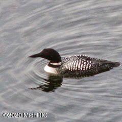 5775 Head Lake Road Hastings, MI 49058 - Photo 25 of 50 20200402180843091594000000-o