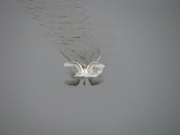 5775 Head Lake Road Hastings, MI 49058 - Photo 38 of 50 20140719151109610453000000-o