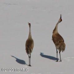 5775 Head Lake Road Hastings, MI 49058 - Photo 49 of 50 20200402181305494925000000-o