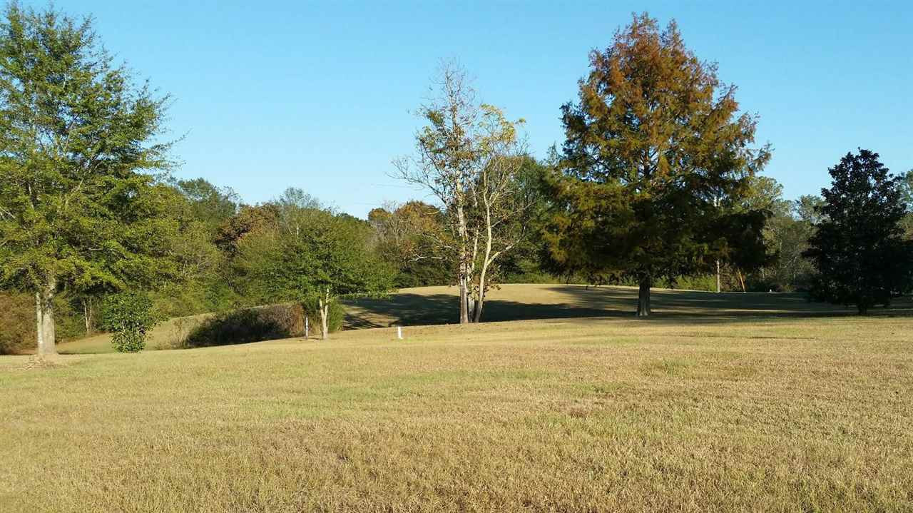 396 Dr Magee Road Mendenhall, MS 39114 - Photo 1 of 7 Photo 1