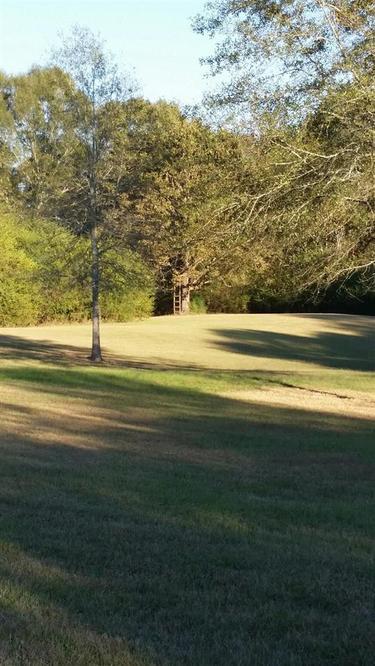 396 Dr Magee Road Mendenhall, MS 39114 - Photo 2 of 7 Photo 2