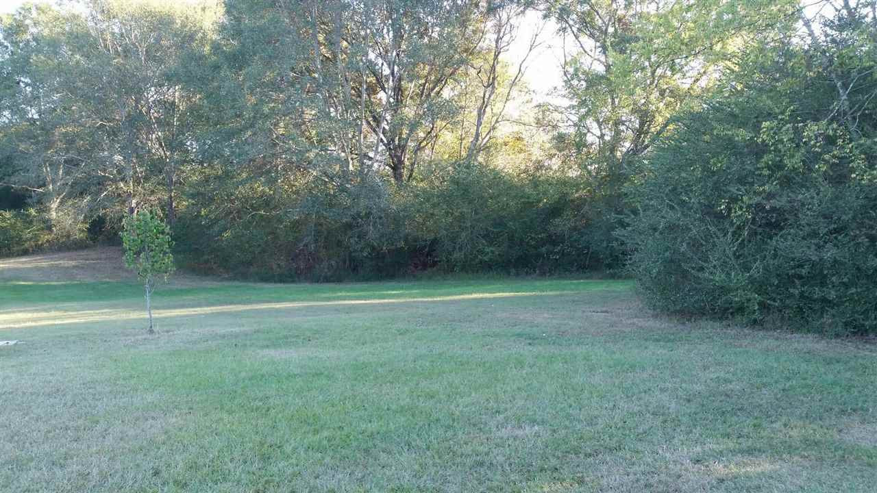 396 Dr Magee Road Mendenhall, MS 39114 - Photo 3 of 7 Photo 3