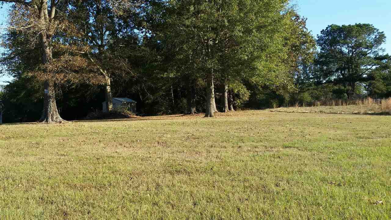396 Dr Magee Road Mendenhall, MS 39114 - Photo 4 of 7 Photo 4