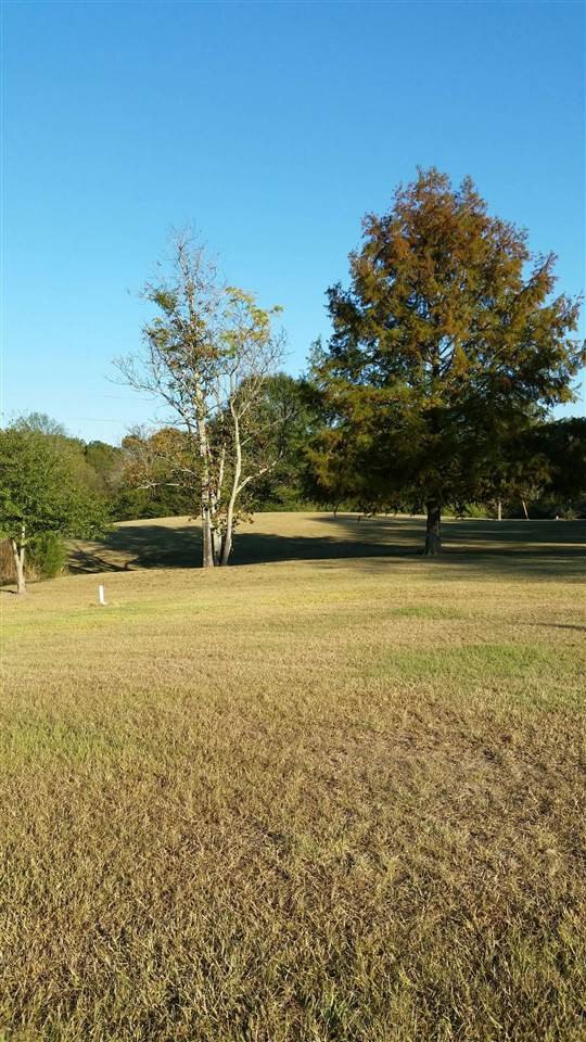 396 Dr Magee Road Mendenhall, MS 39114 - Photo 5 of 7 Photo 5