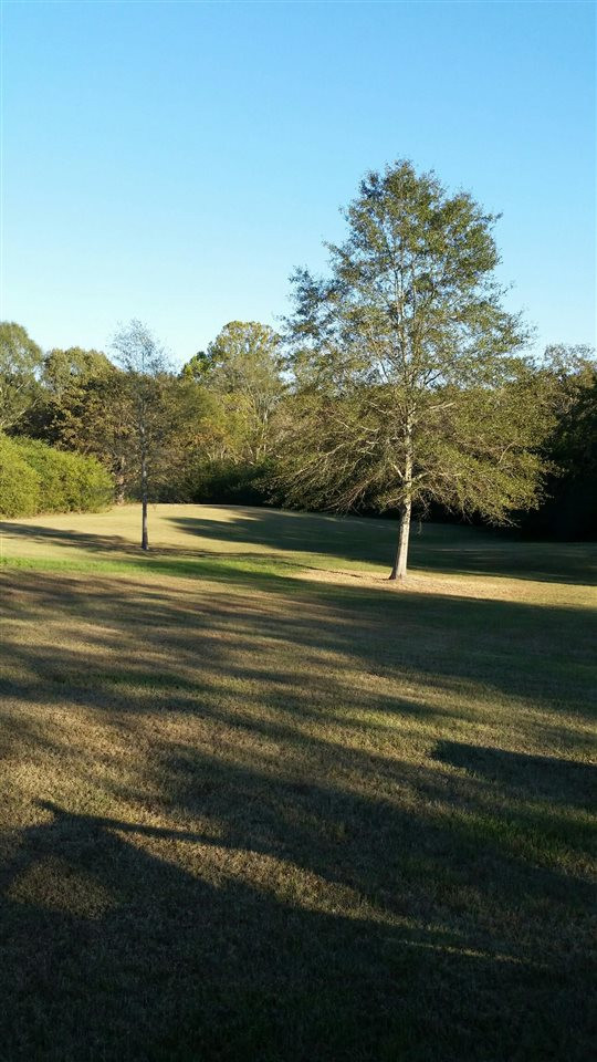 396 Dr Magee Road Mendenhall, MS 39114 - Photo 7 of 7 Photo 7