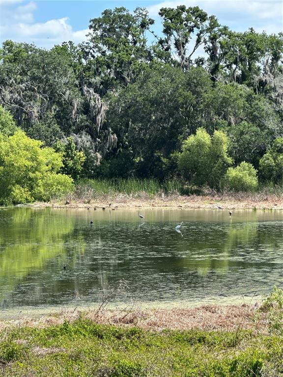 15322 Fishhawk Heights Road Lithia, FL 33547 - Photo 5 of 10