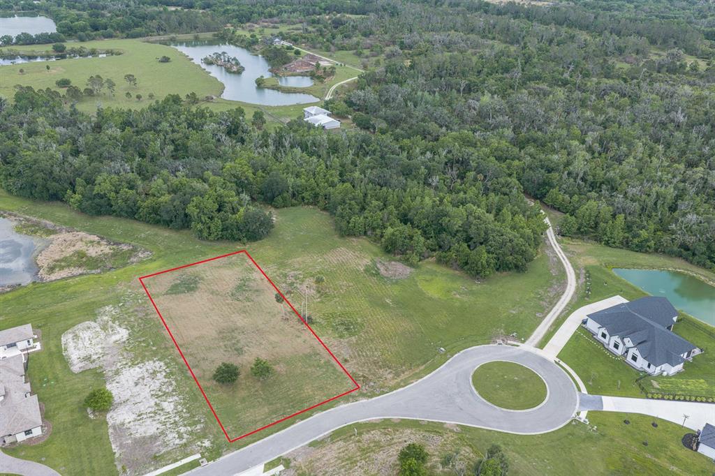 15322 Fishhawk Heights Road Lithia, FL 33547 - Photo 6 of 9