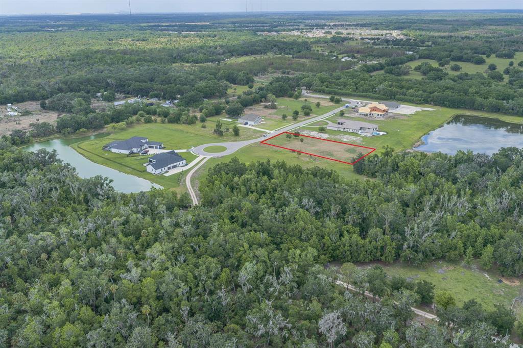 15322 Fishhawk Heights Road Lithia, FL 33547 - Photo 9 of 9