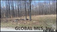 0 Nadler Road Amsterdam, NY 12010 - Photo 1 of 4 Photo 1